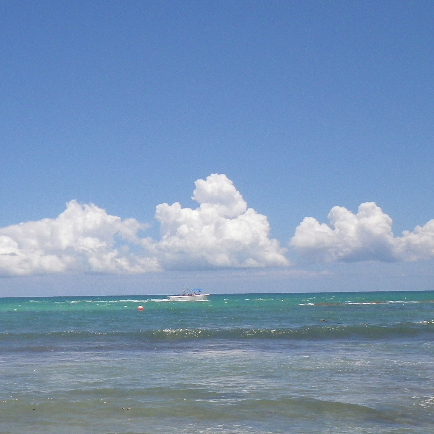 A boat in motion